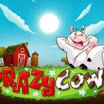 Crazy cows
